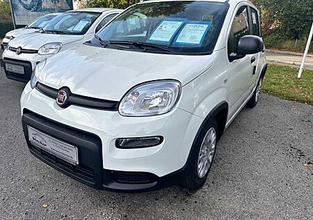 Fiat Panda /Pandina 1.0 GSE Hybrid