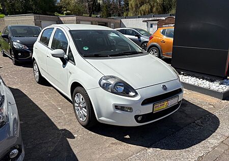 Fiat Punto More