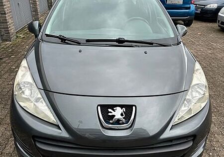 Peugeot 207 SW Filou