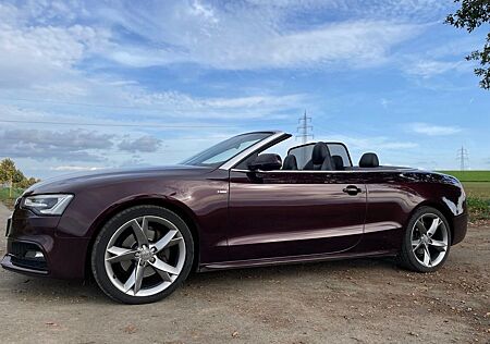 Audi A5 3.0 TDI S tronic quattro Cabriolet -