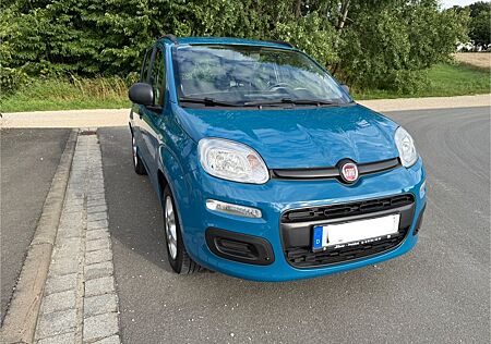 Fiat Panda 1.2 * 1 Hand AHK Winterreifen