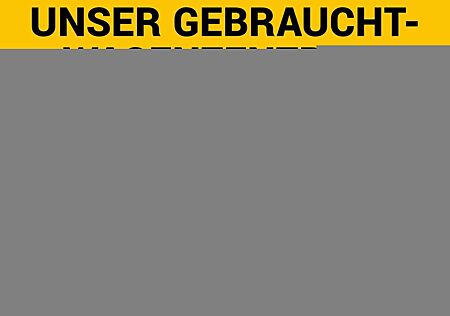 Dacia Duster II Celebration 4WD Leder*Anhängerkupplung