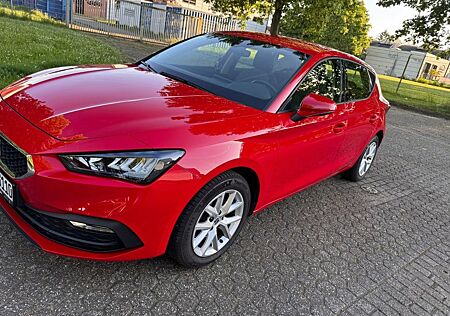 Seat Leon 1.0 TSI Style WinterP. Klimaauto. Voll-LED.
