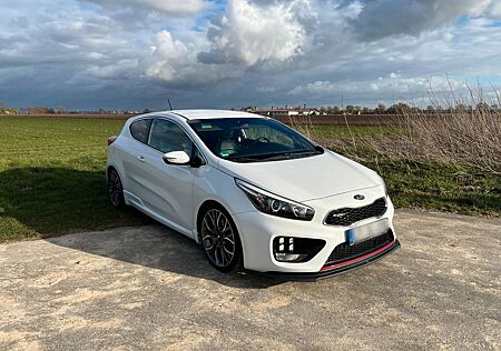 Kia Pro_ceed ProCeed 1.6 GT Challenge | RECARO | MAXTON