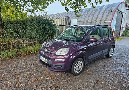 Fiat New Panda 1.2 8V MY PANDA MY PANDA