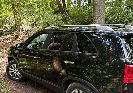 Kia Sorento 2.2 CRDi AWD Vision Vision