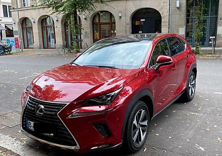Lexus NX 300 NX 300h E-FOUR Luxury * Panorama * M. Levinson