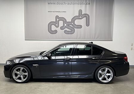 BMW 520dA M-Sport /NAVI/Bi-XENON/SpoSi/Sitzhz.