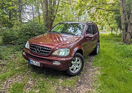 Mercedes-Benz ML 270 CDI -