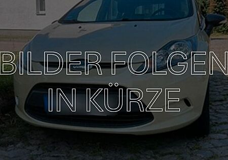 Ford Fiesta 1,4 Trend Automatik 71 kW (97 PS)
