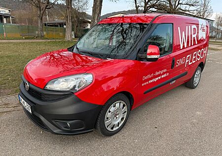 Fiat Doblo Winter Kühlausbau