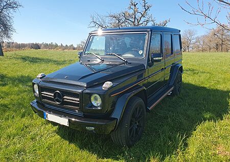 Mercedes-Benz G 500 gebraucht kaufen Mercedes-Benz G 500