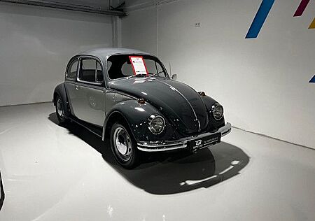 VW Käfer Volkswagen