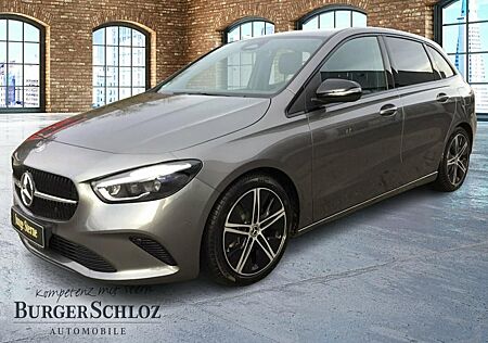 Mercedes-Benz B 220 4MATIC MULTIB./AHK/WINTERP./KAMERA
