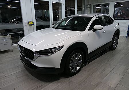 Mazda CX-30 SKYACTIV Selection Rückfahrkamera