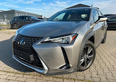 Lexus UX UX250H Luxury Line