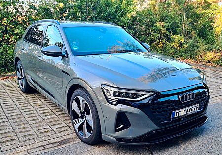 Audi e-tron Q8 quattro, Lufe, Matrix, dyn.B.,8fach