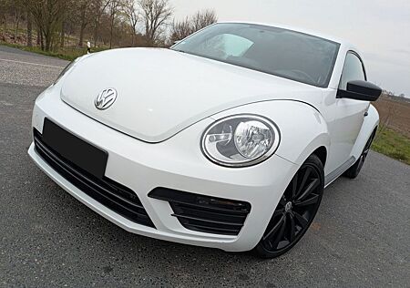 Volkswagen Beetle R-Line Automatik Kamera Sport 19 Zoll