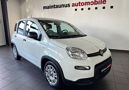 Fiat Panda Base *NEUWERTIG - kaum gefahren*