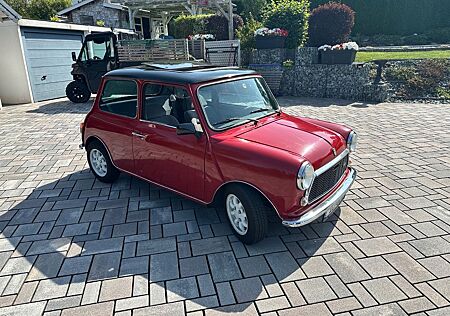Mini 1000