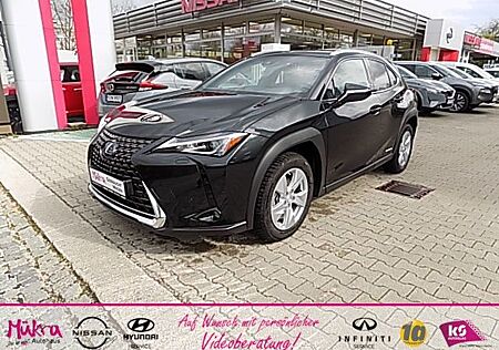 Lexus UX 250h Style Edition Tech-Service bis 02/2025