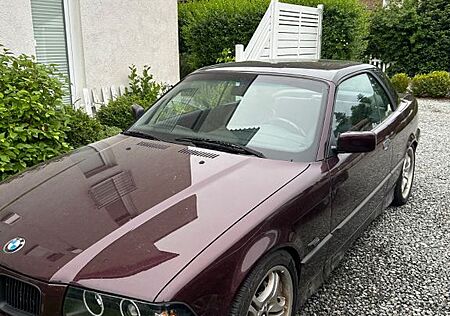 BMW 318i E36 Cabrio Brokatrot Metallic