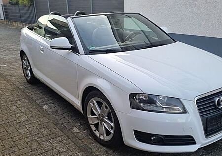 Audi A3 2.0 TDI Ambition Cabriolet Euro 5