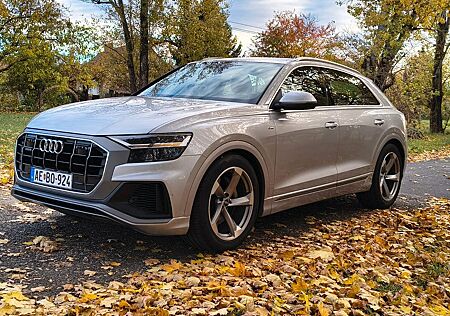 Audi Q8 50 TDI quattro tiptronic S-Line
