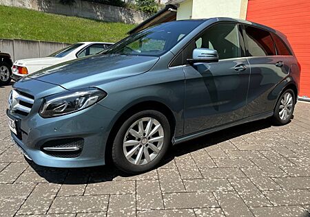 Mercedes-Benz B 220 B -Klasse 4Matic Leder 59TKM Pano.