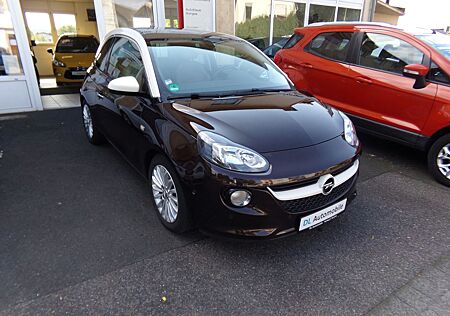 Opel Adam 1.4 Glam, Panoramadach , Teilleder ,