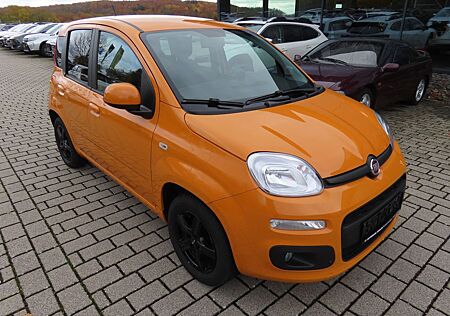 Fiat Panda More