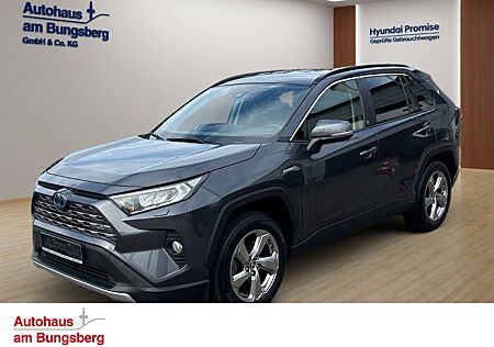 Toyota RAV 4 2.5 VVT-i Hybrid 4x4 Team LED Navi
