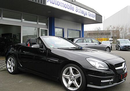 Mercedes-Benz SLK 200 BlueEFF AMG-LINE NAVI PDC PSSD 18" 1HD