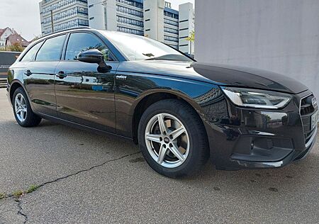 Audi A4 Avant 30 TDI Stronic Businesspaket SHZ Sports