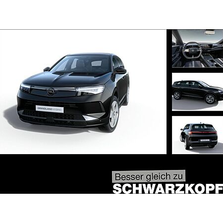 Opel Grandland X leasen