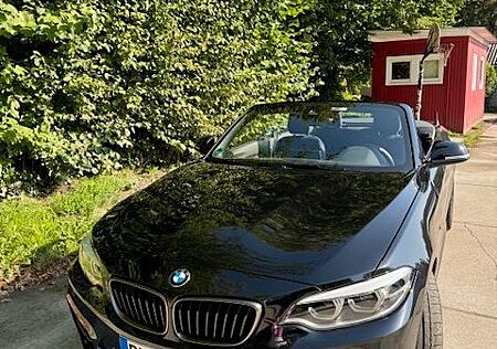BMW 240 M240i xDrive Cabrio Steptronic - Navi Prof, DAB
