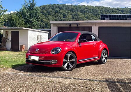 VW Beetle Volkswagen Cabrio