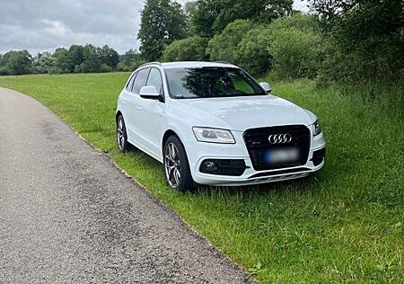 Audi SQ5 3.0 TDI competition tiptronic quattro -