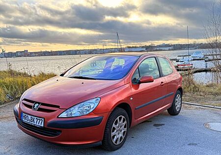 Peugeot 307 Platinium 110 Platinium