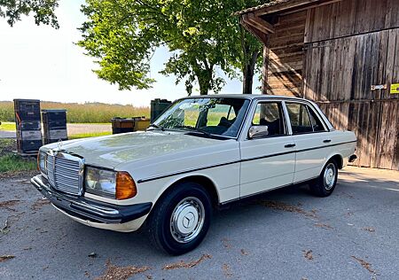 Mercedes-Benz 250 Ungeschweißt, Vergaser Neu* Sehr gepflegt