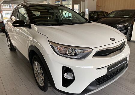 Kia Stonic 1.2 Vision-WINTERPAKET-