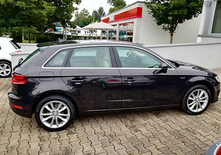 Audi A3 1.4 g-tron Standheizung Glasdach neue Multitr