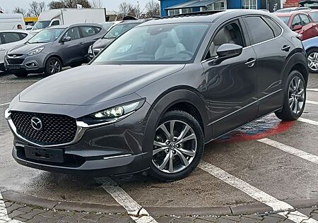 Mazda CX-3 CX-30 Skyactiv Exlusive GT 2.0 180PS/360cam/Pano