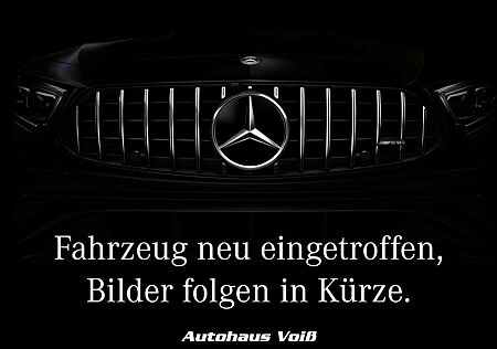 Mercedes-Benz G 350 d Professional|Schiebedach|Standhzg|AHK