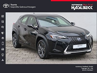 Lexus UX 300e