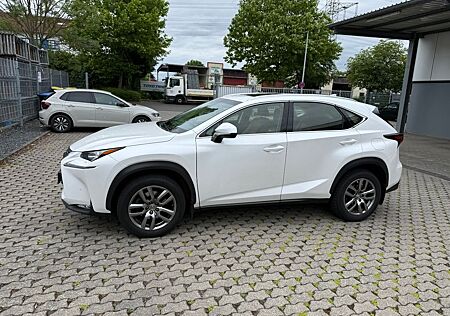 Lexus NX 300 NX 200 aus Erstbesitz