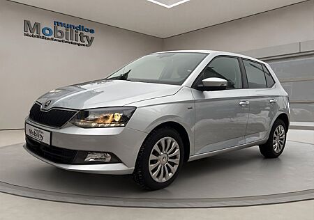 Skoda Fabia Clever 1.4 TDI DSG ACC SHZ