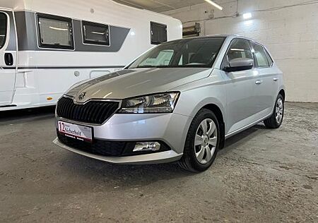 Skoda Fabia 1.0 TSI Ambition *-GARANTIE* *PDC*