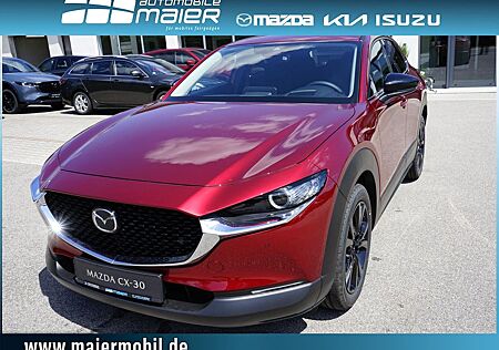 Mazda CX-30 e-SKYACTIV X Homura *LED* NAVI*KAMERA*