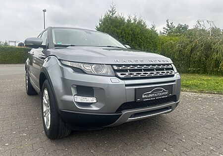 Land Rover Range Rover Evoque Pure,Leder,Xenon,Kamera